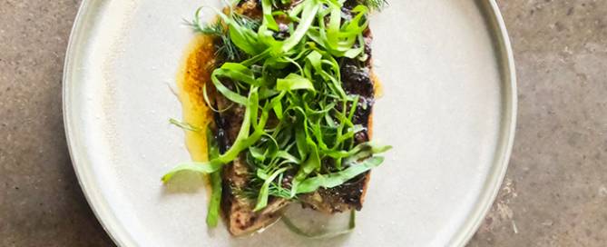 Mark LaBrooy - barramundi dish