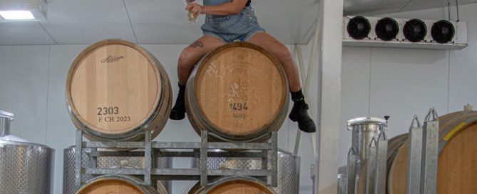 Meredith Wine Launch Dinner