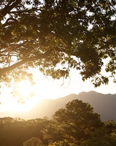 Sundowner Sunday Sessions at Three Blue Ducks Bellingen
