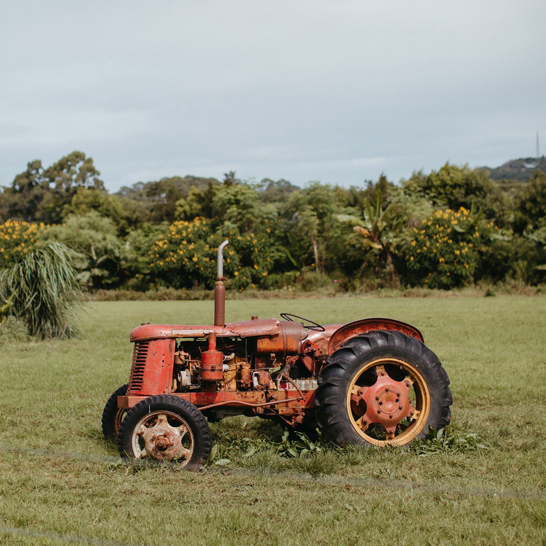 Autumn byron bay wedding - Three Blue Ducks