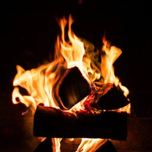 Locals' Night Bellingen dinner menu