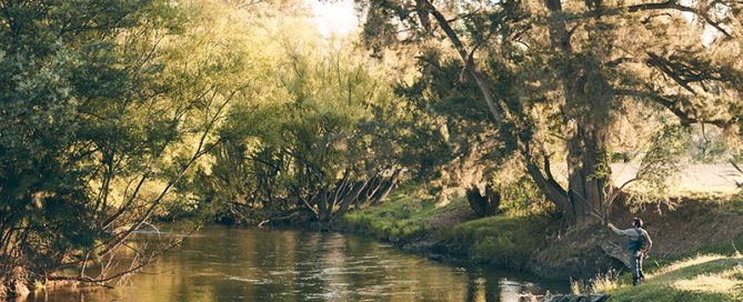 Tumut the Perfect Town!