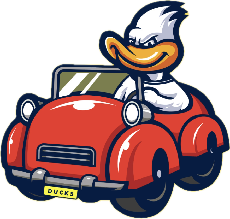 Ducks image